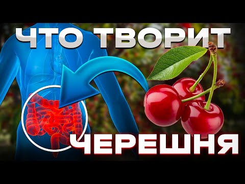 Мало кто знает, ЧТО Творит ЧЕРЕШНЯ. Даже одна горсть.Почему нельзя выбрасывать хвостики и косточки