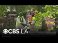 North Hollywood nuisance house gets cleaned up