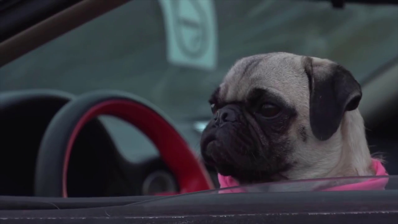 Pink Guys saying DEREK!