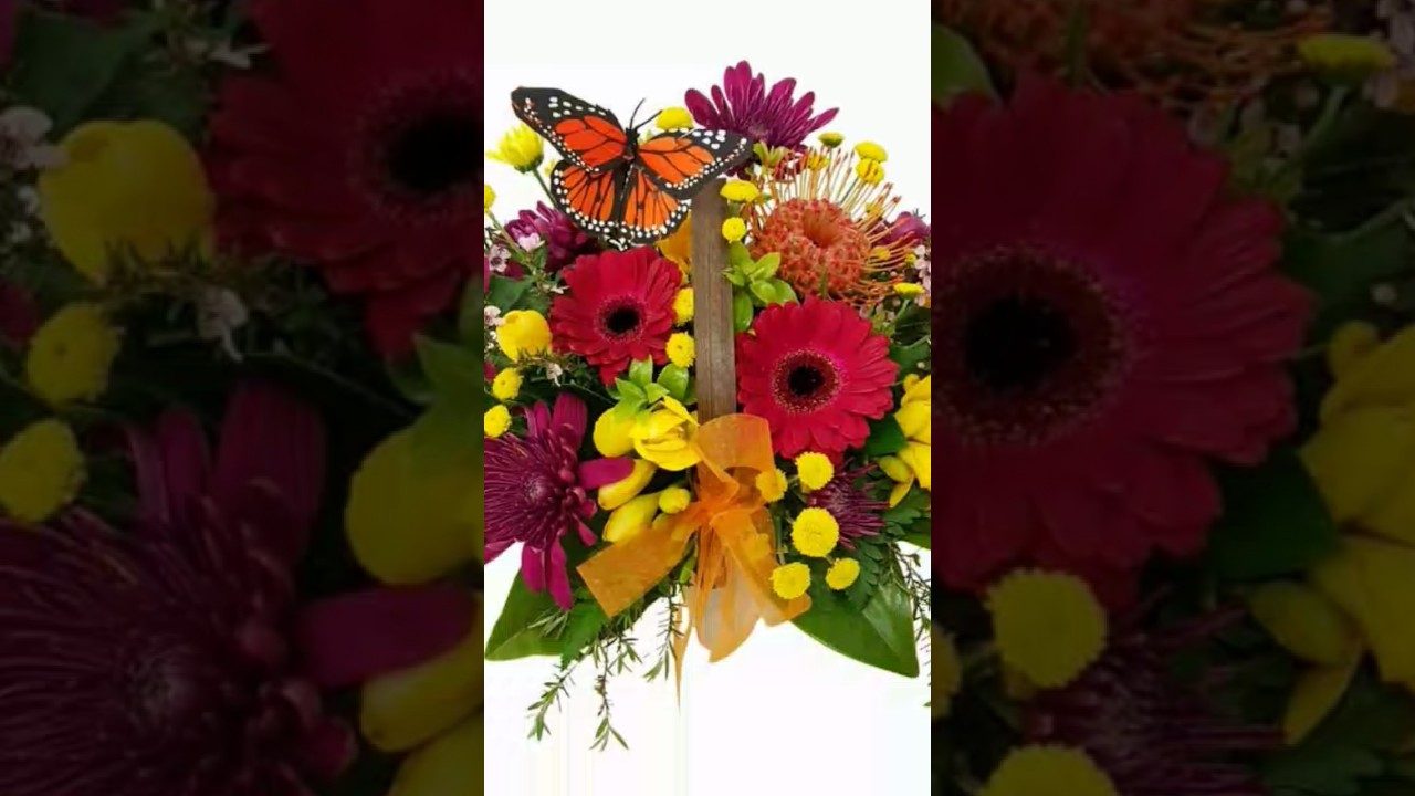 Chori Chori 😍😍