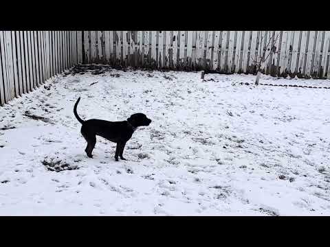 JoJo- snow - YouTube