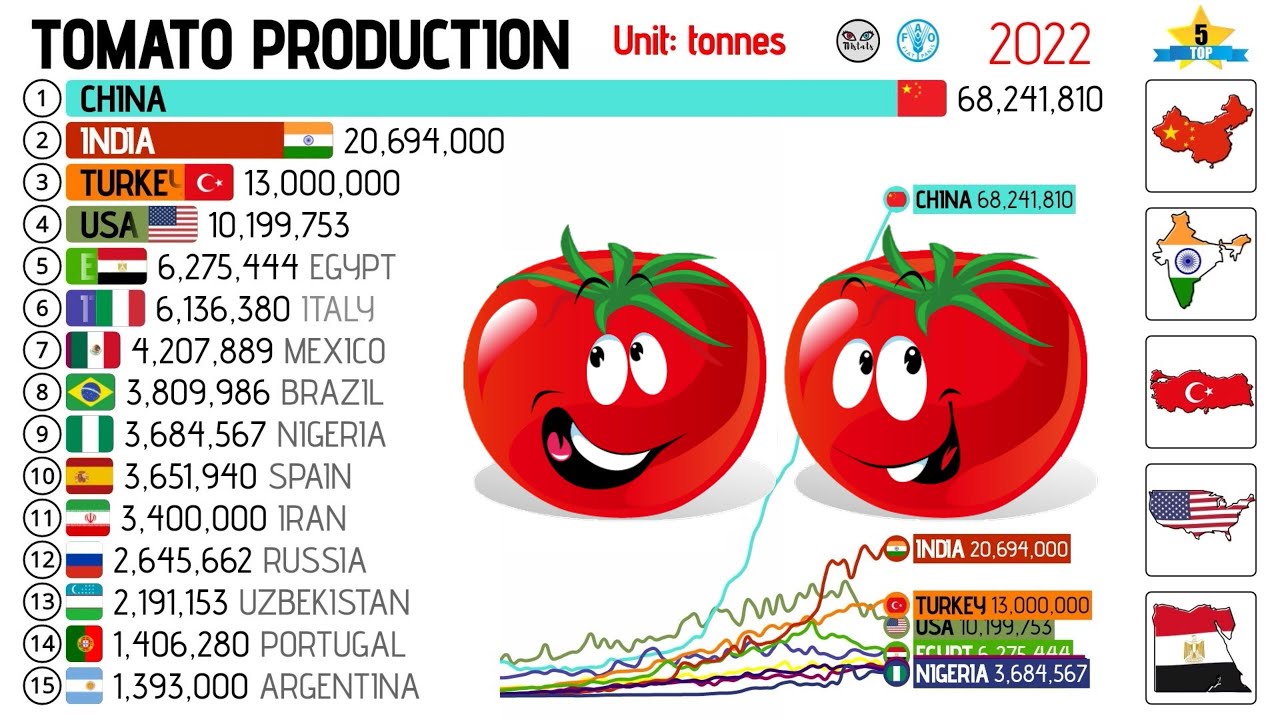 TOP COUNTRIES IN TOMATO PRODUCTION (1961 - 2022)