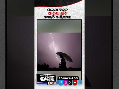 କାମ କରିବା ସମୟରେ ହଠାତ ବିଜୁଳି ଘଡଘଡିରେ ଚାଲିଗଲା ଜୀବନ...#lighteningstrike #labour #shorts #odishabhaskar