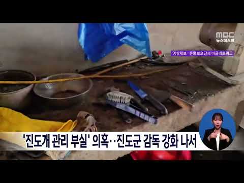 &amp;#39;진도개 관리 부실&amp;#39; <strong>의혹</strong>.. <strong>진도군</strong> 감독 강화 나서[목포MBC 뉴스데스크]