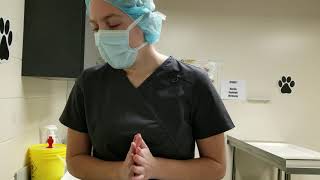 Surgical Site Prep