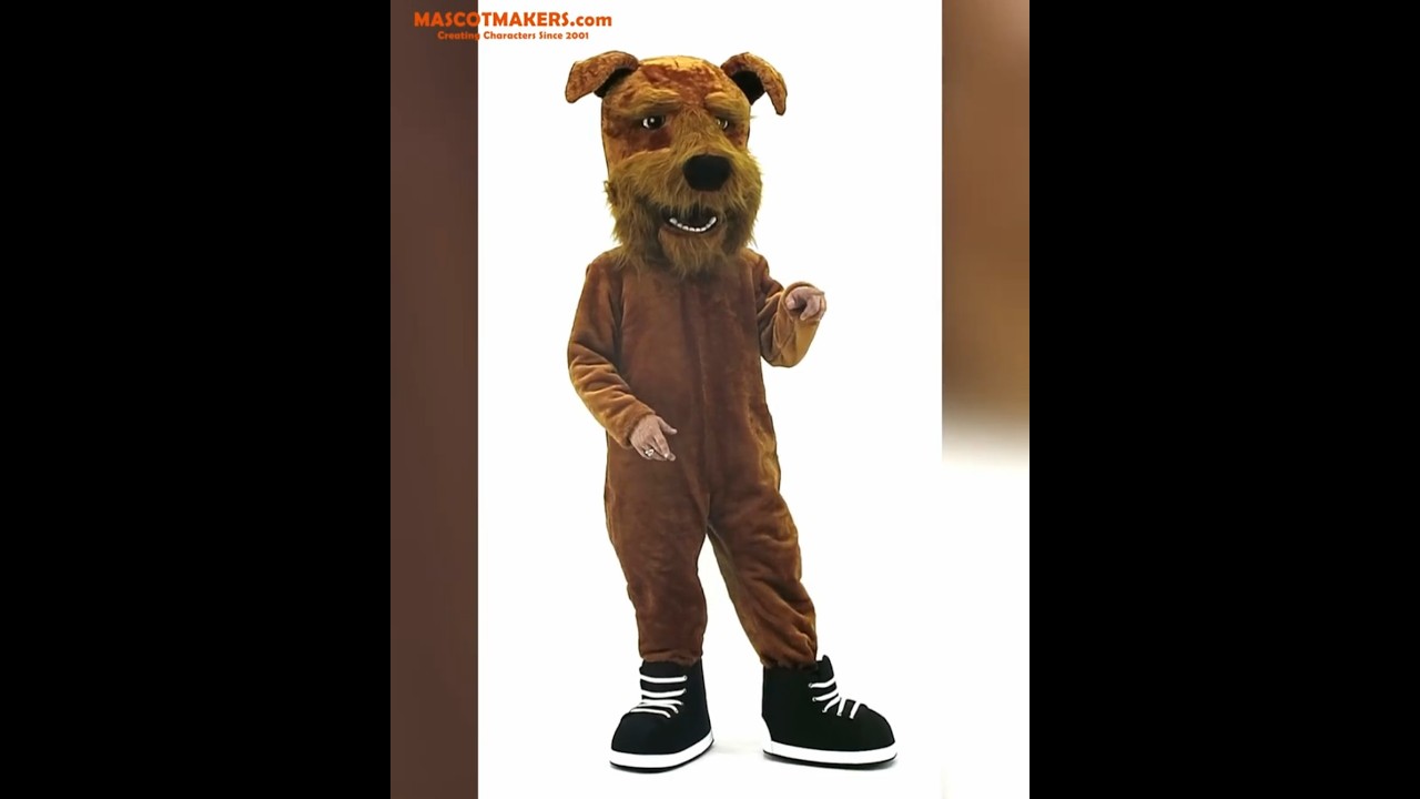 Terrier Mascot Costume for Watertown Shamrocks Ice Hockey Team 