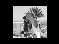 [5+] Free Loop Kit / Wheezy Sample Pack 2025 "Miami" (Wheezy,Guitar,Dark,Orchestra,R&amp;B,etc)