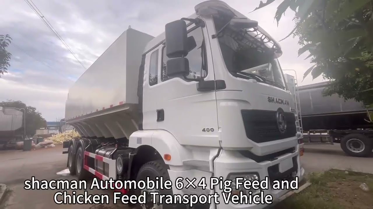 shacman 6*4 bulk feed truck