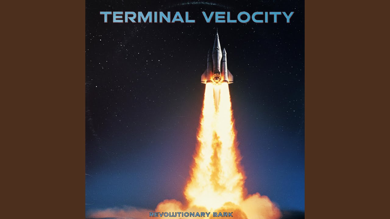 Terminal Velocity
