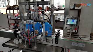 Fully Automatic 2 Head Servo Washing Liquid Filling Machine