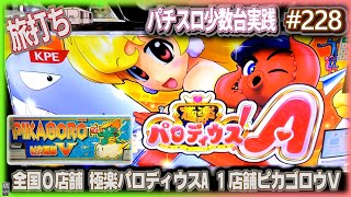珍古台#228]片道4時間掛けてスロットル。極楽パロディウスA(全国設置0