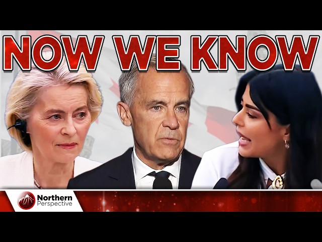 Mark Carney Admits Everything On Live Television, Greek MEP Explodes Telegraphing What's In Store