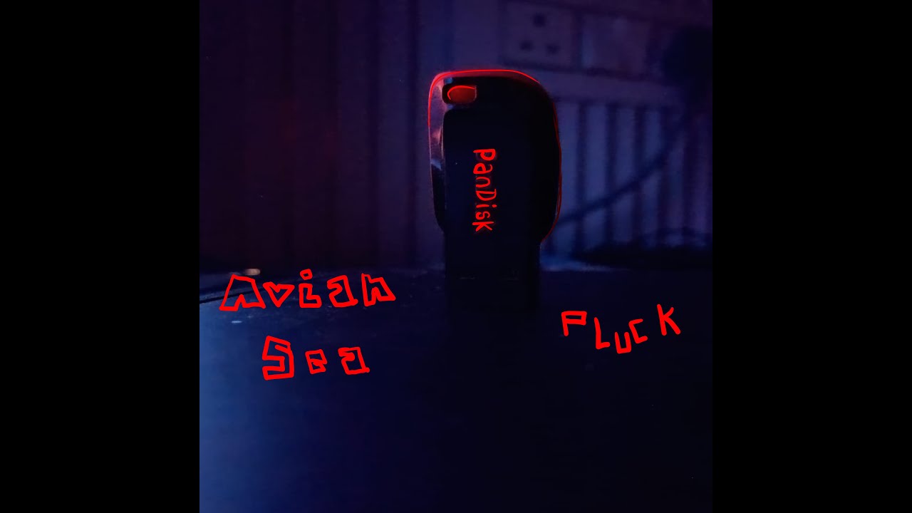 Avian Sea - Pluck(Official Audio)