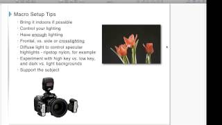 Webinar: Macro Photography Co-sponsored by Fotodiox and DIY Photography