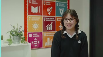 Flip the Script - World