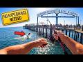 Top Walk-In Fishing Spots Around Los Angeles (No Experience Needed)