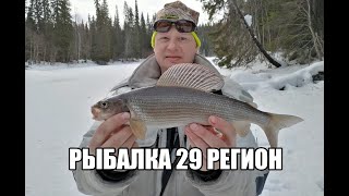 Таёжная Рыбалка , март 2022