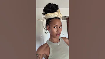 Not The Snake Madam 
