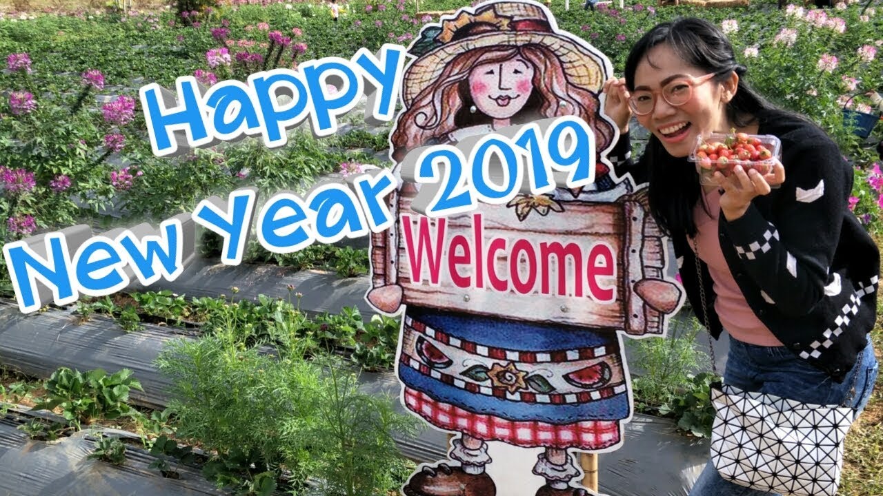Happy New Year 2019|สวัสดีปีใหม่2562