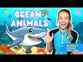 Toddler learning  learn ocean animals  educationals for kids  learnings for toddlers