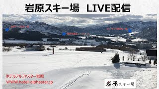 越後湯沢　【岩原（いわっぱら）スキー場】♪最高の景色に向かって風を切れ～ホテルアルファスター岩原の景色＝LIVEカメラ＝