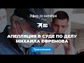 Апелляция в суде по делу Михаила Ефремова