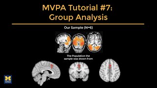Celebrity MVPA Tutorial #7: Group Level Analysis Profile