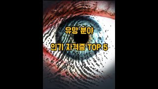 유망 분야 &amp; 인기 자격증 TOP 5
