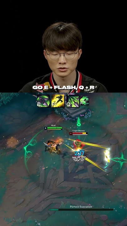 [閒聊] 這隻我會玩 Faker 阿卡莉E閃