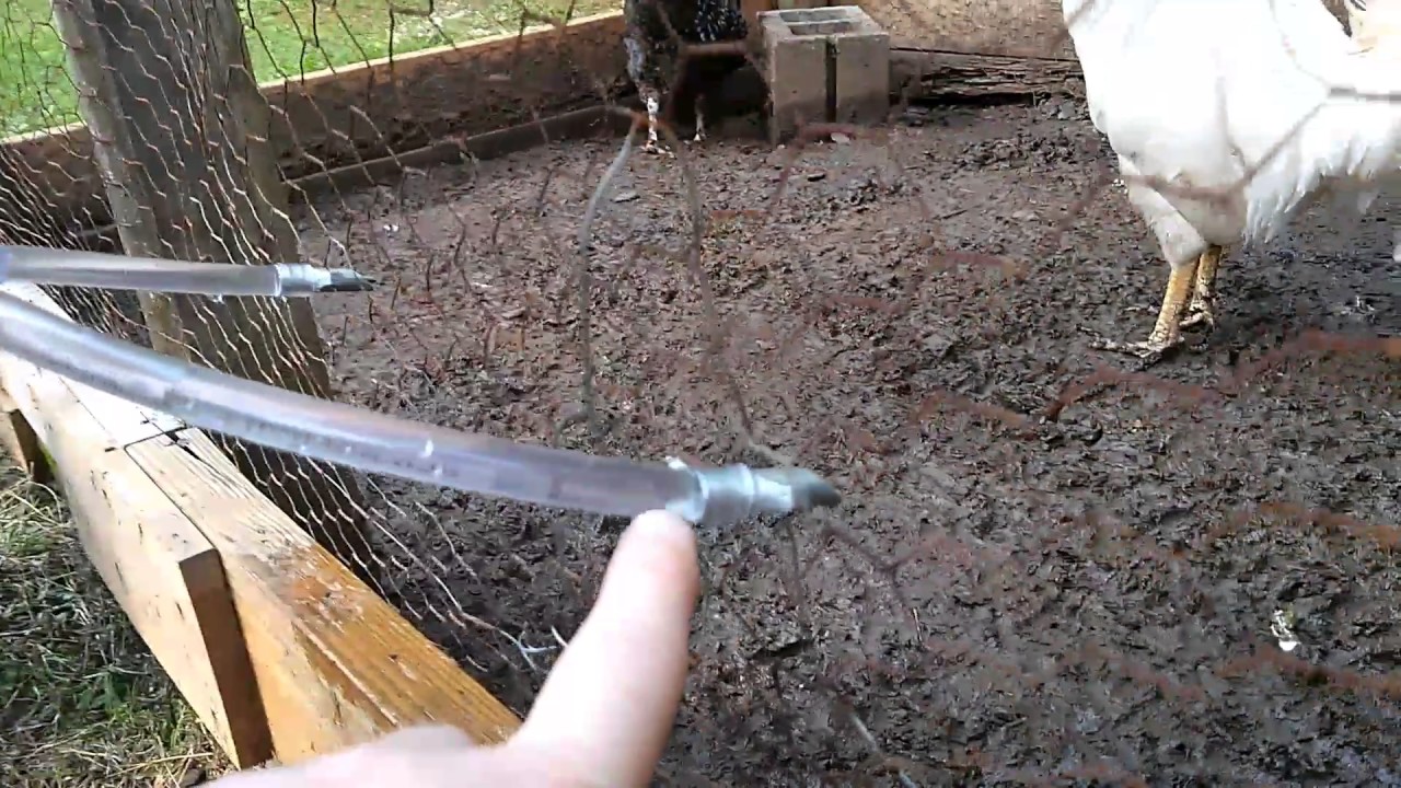 homestead exemption Chicken waterer SUCCESS