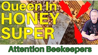 Beekeeping | How To Get Your Queen Out Of Your Honey Super