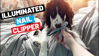 Peticare Illuminated Dog Nail Clipper Review