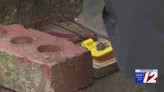 East Providence neighborhood plagued by influx of rats