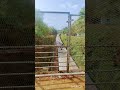 #The #train# was# going# on #the# railway#