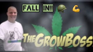 Fall in!! 👊 💪 🪖