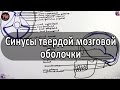 Синусы твердой мозговой оболочки - meduniver.com