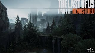 Fühlt sich bestimmt an wie eine wasserrutsche | The Last of Us Part2 Remastered |