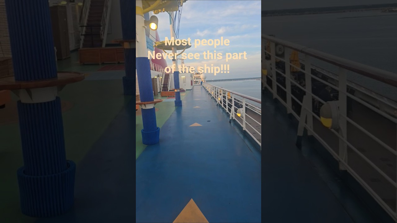 A few things most people never see onboard Carnival Sunshine! #cruise #carnivalsunshine #carnival