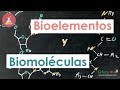 Bioelementos y Biomoléculas