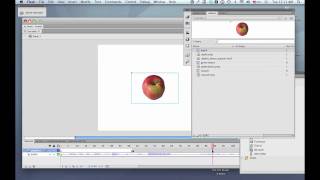 Celebrity Flash- synchronize audio Net Worth