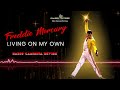 Freddie Mercury Living On My Own Dario Caminita Revibe 5 06 