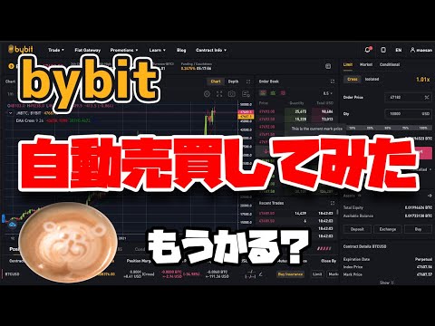 [FX自動売買] bybitで自動売買プログラム作ってみた [儲かるの？]