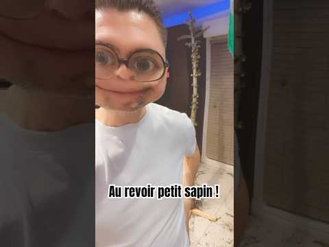 Il est temps d’enlever mon sapin ! Au revoir et bon voyage vers Paris ❤️ #teterigolote