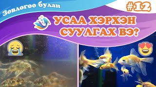 картинка: Ус суулгах гэж юу вэ?