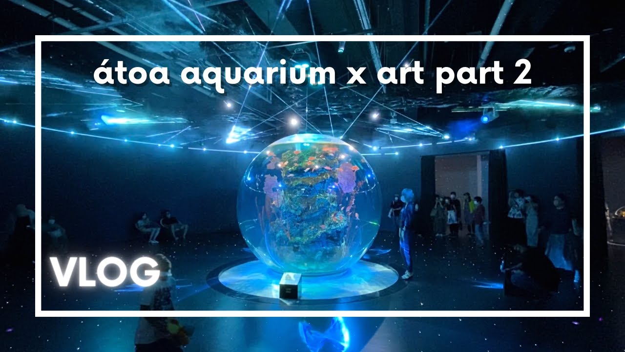 átoa aquarium x art in kobe part 2 Japan travel vlog YouTube