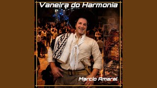 Vídeo de Vaneira Do Harmonia