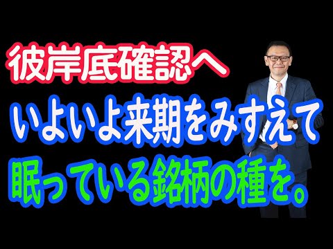 【2/16 彼岸底への打診が続くがそのレベルを図りつつ、OP戦略は非常に有効だった。】キャンペーン中。【30年現役マネージャー】