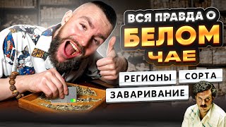 Белый чай! Тотальный ликбез. Где растет? Как делают? Как пить? | Чайная мастерская — китайский чай