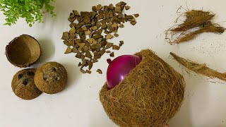 Coconut Shell Craft | Recycling Coconut Husk | Best Out Of Waste
