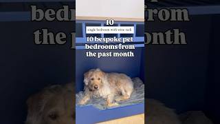 TOP 10 Bespoke Dog Beds from the past month
